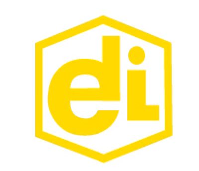 dana-engineers-internationl-ltd-logo